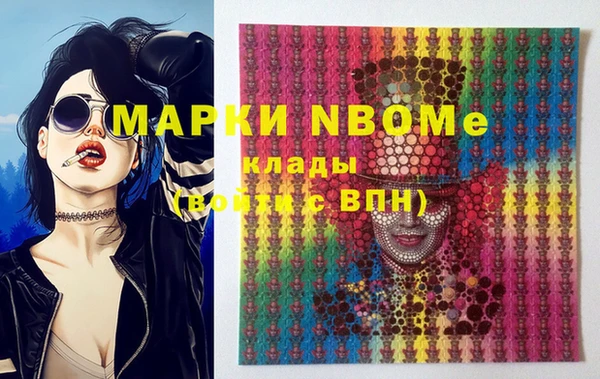 хмурый Богородицк
