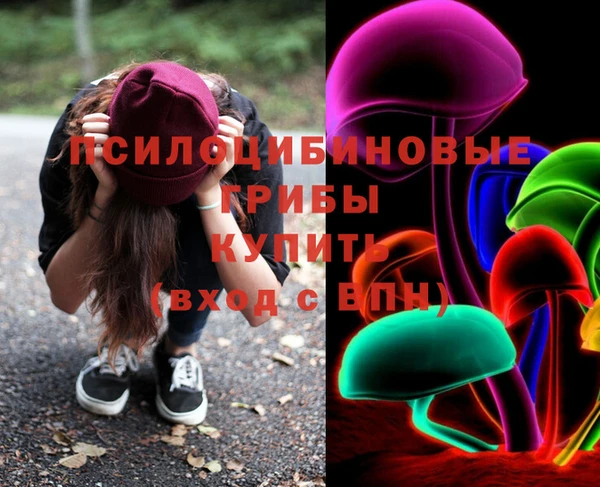 метамфетамин Богданович