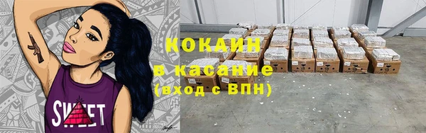прущие грибы Богородск
